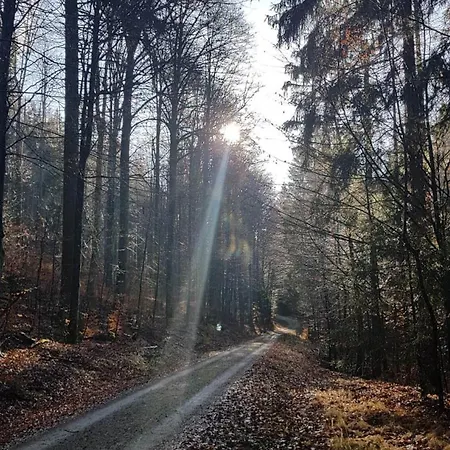 Сasa de vacaciones Forest Lodge, Perfekt Fuer Familie Und Freunde *