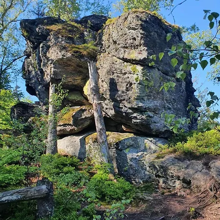 Forest Lodge, Perfekt Fuer Familie Und Freunde Bayerisch Eisenstein