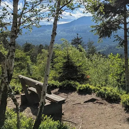Forest Lodge, Perfekt Fuer Familie Und Freunde Hébergement de vacances *